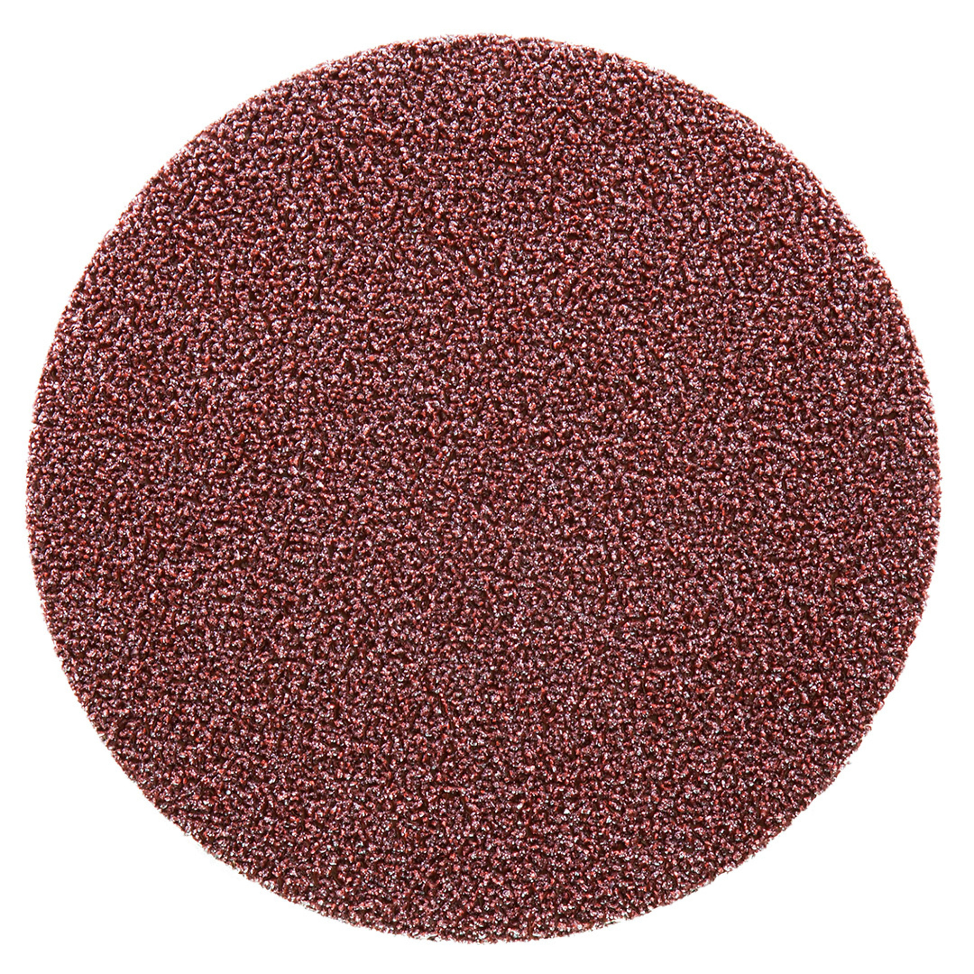 Rokamat Sanding Discs for Chameleon Tool — 24 Grit, 4 Pcs, Model# RKT20824